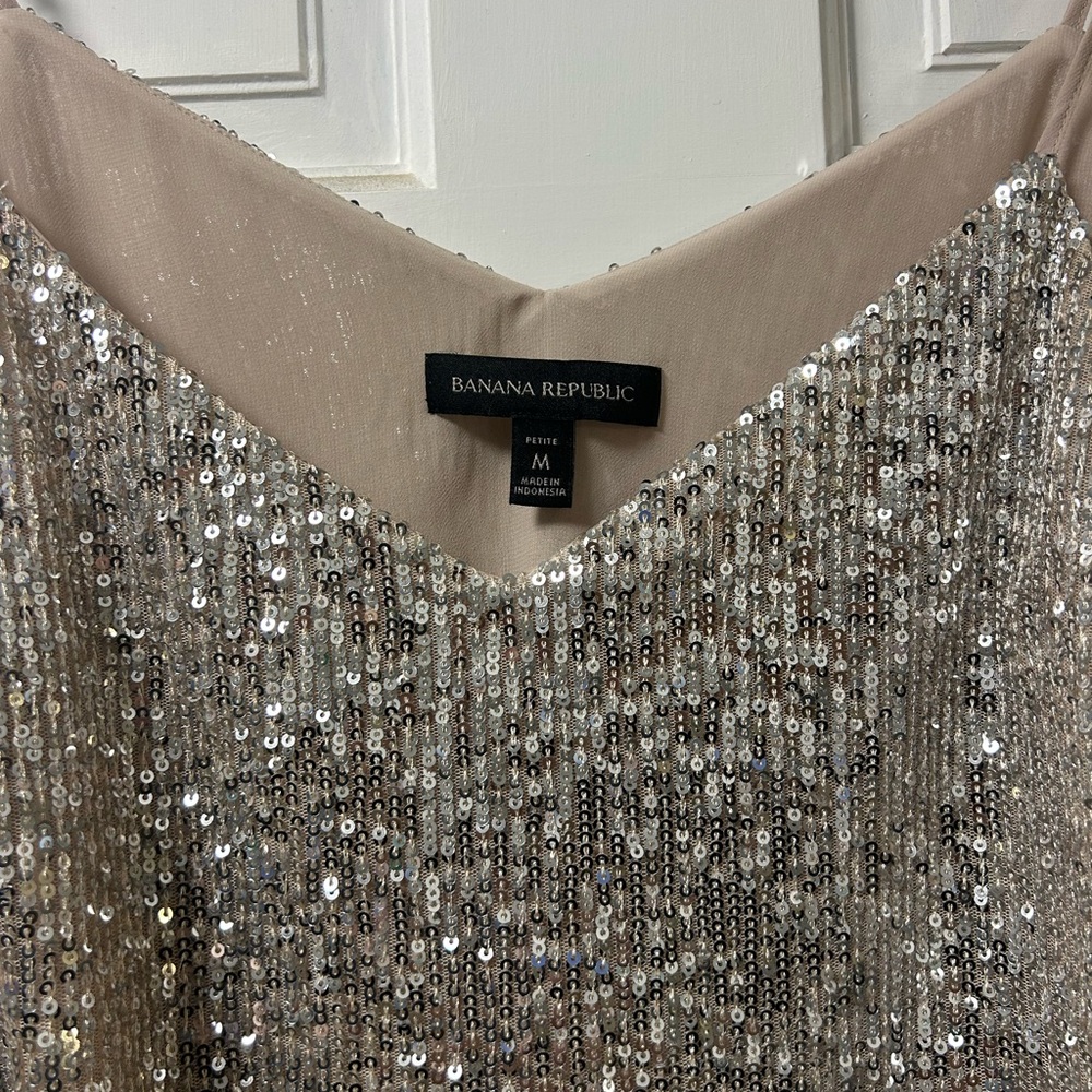 Banana Republic Glittering Sequin Dress - Silver